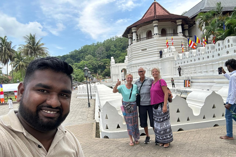 Kandy: Sigiriya, Dambulla, or Habarana Transfer & Tour