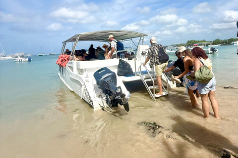 Best Trip to Saona Island: Beaches, Snorkeling, Sea Star (max 15), Speedboat