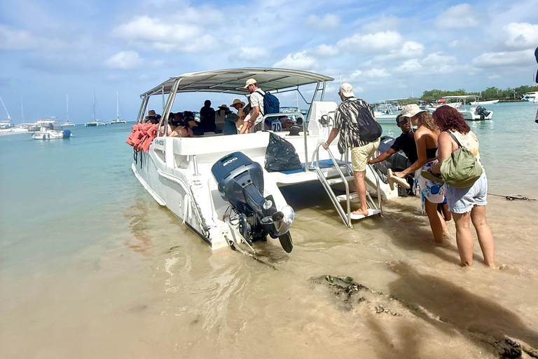 Best Trip to Saona Island: Beaches, Snorkeling, Sea Star (max 15), Speedboat