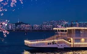 Seoul: Han River Guided Night Cruise and Hangang Park Picnic