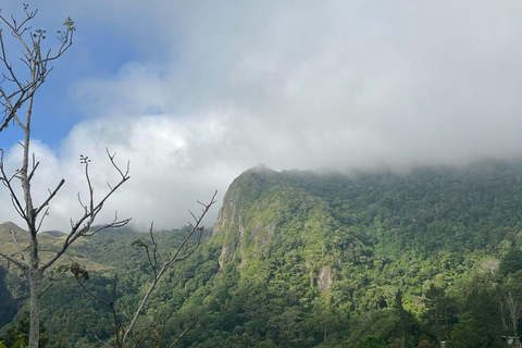 Città di Panamá: Tour guidato di un giorno