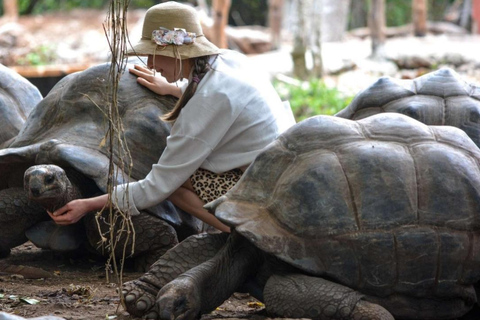 Zanzibar : île prison, sanctuaire des tortues marines + plage de MtendeVisite privée avec transfert et frais inclus