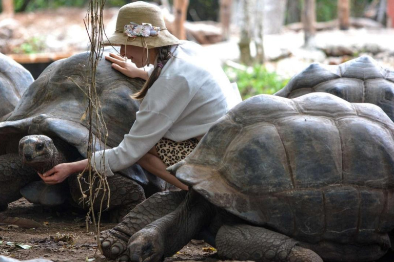 Zanzibar : île prison, sanctuaire des tortues marines + plage de MtendeVisite privée avec transfert et frais inclus
