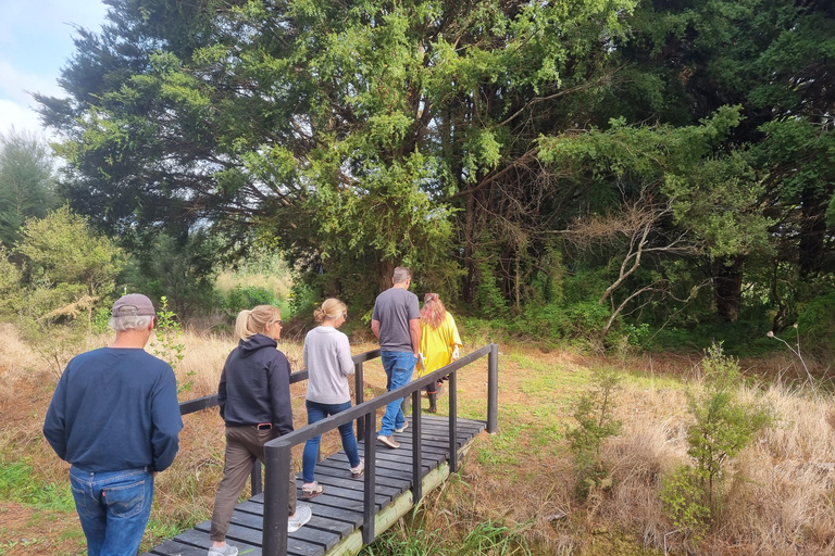 Auckland: Full-Day Jade Carving, Honey Tasting & Wine Tour