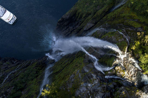 From Te Anau: Milford Sound Cruise with VIP Lounge & Lunch