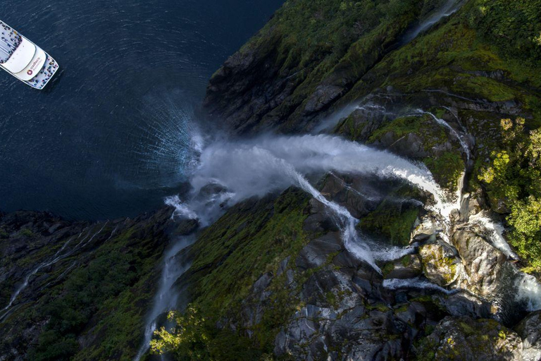 From Te Anau: Milford Sound Cruise with VIP Lounge & Lunch