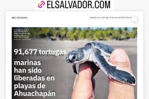 Barra de Santiago: Turtle Release Experience & Beach