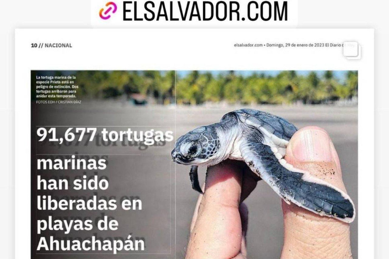 Barra de Santiago: Turtle Release Experience & Beach