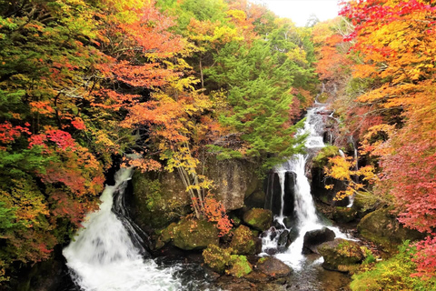 De Tóquio: Excursão de 1 dia a Nikko, Património Mundial, em privado