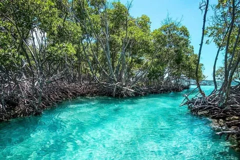 Playa del Carmen: Explora la Gran Isla de Sian Kaan