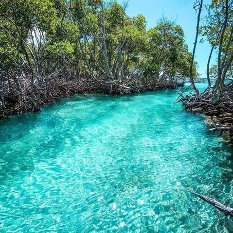 Playa del Carmen: Explore Great Sian Kaan Island