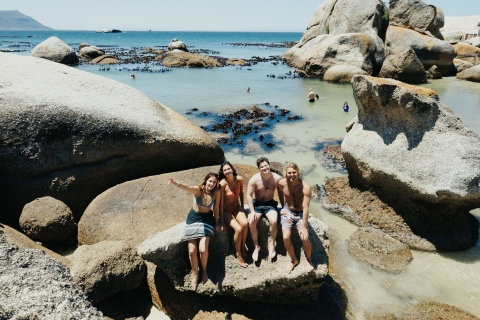 Le Cap : Péninsule Vibes Boulders Beach & Cape Point