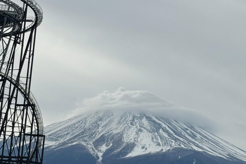 Depuis Tokyo : Excursion privée d&#039;une journée au Mont Fuji et à Hakone