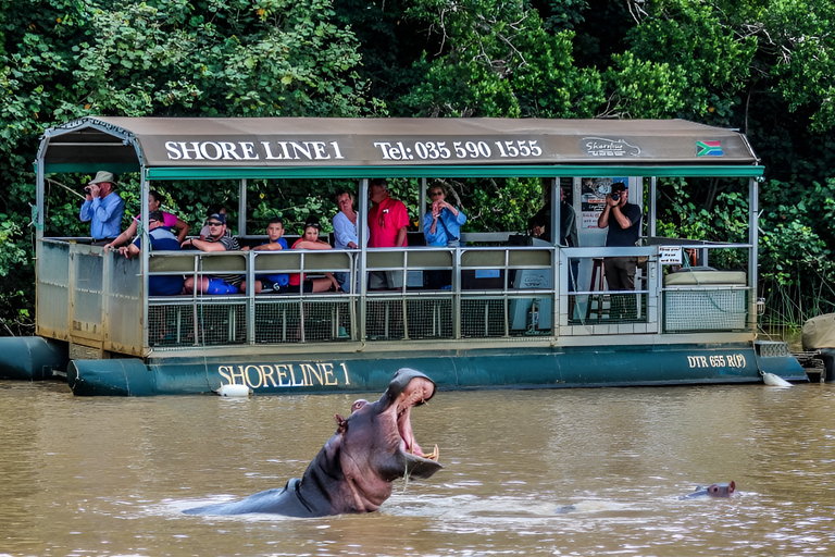 8-dniowa wycieczka safari do Parku Narodowego Krugera, St Lucia i Sodwana