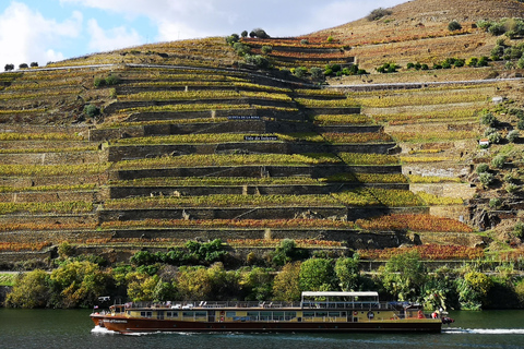 From Porto: Wine Trip w/ Tastings, Chef's Lunch & Boat Tour