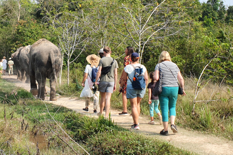 Kulen Elephant Forest & Tonlesap Lake Kulen Elephant Forest by Sharing Group Tours