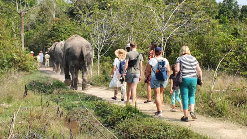 Kulen Elephant Forest és Banteay Srei templom túra
