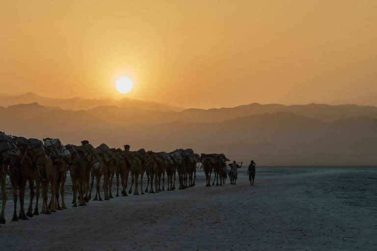 3 Tage / 2 Nächte Danakil Depression Touren