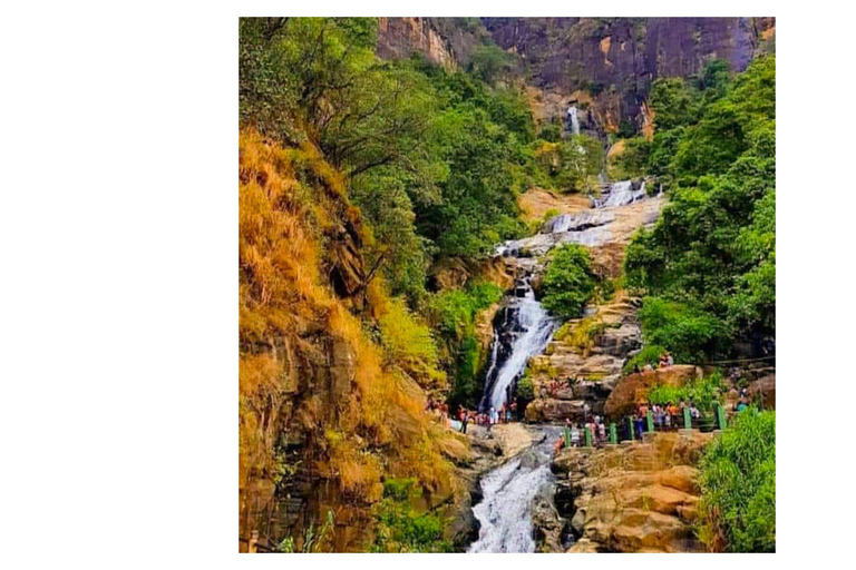 From Kandy: Nuwara Eliya Day Tours (Ambewela Railway Drop)