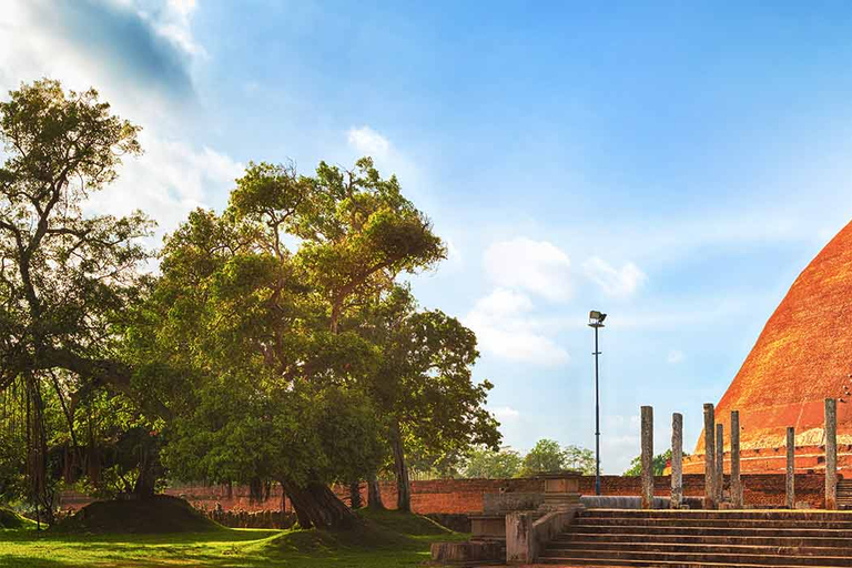 Anuradhapura Antike Stadt Geführte Tagestour ab Kandy