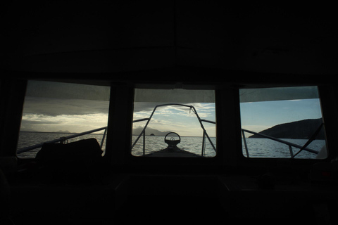 Entdecke Rio de Janeiro auf einer Bootstour