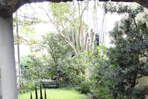 Charleston: Walking Tour with a Local Guide