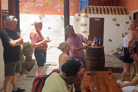 Desde Las Américas!VIP Wine tasting & Guachinche lunch 1200m VIP Wine Tour! Enjoy 7 wines in bodega & Guachinche lunch