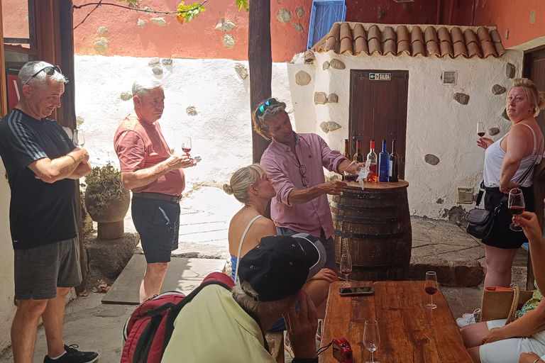 Desde Las Américas!VIP Wine tasting & Guachinche lunch 1200m VIP Wine Tour! Enjoy 7 wines in bodega & Guachinche lunch