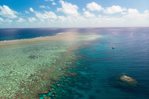 Cairns: 2-dniowa wycieczka łodzią do nurkowania i snorkelingu na Wielkiej Rafie KoralowejKabina prywatna dla 2 pasażerów