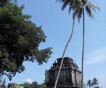 Borobudur Photography Day Tour