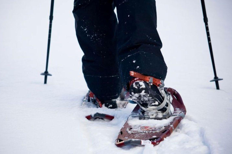 Winter Snowshoeing in the Finnish Wilderness