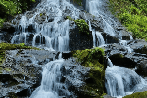 Bali: Ultimate Waterfall Adventure Journey