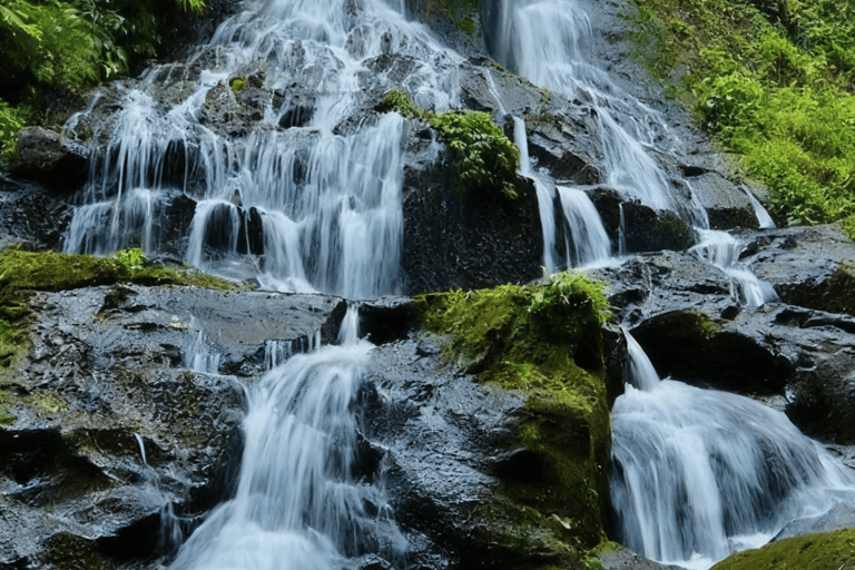 Bali: Ultimate Waterfall Adventure Journey