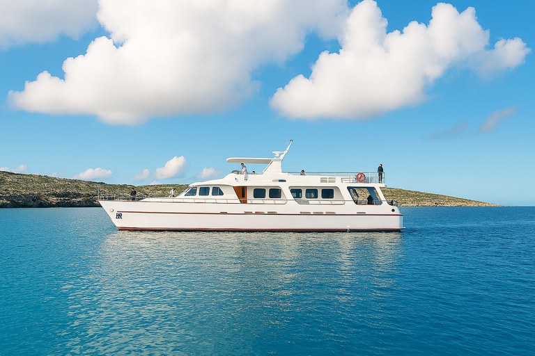 From Sliema: Around Malta Cruise with 3 Swim Stops and Lunch