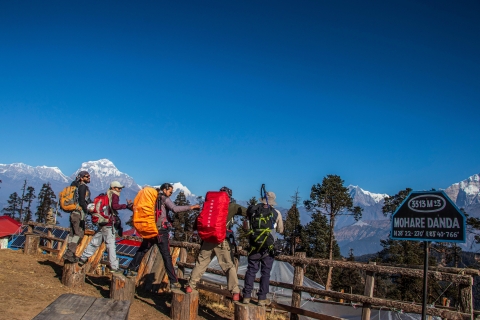 Mohare Danda Trek - Nepal Community TrailMohare Danda Trek - Nepal Community Trekking Trail