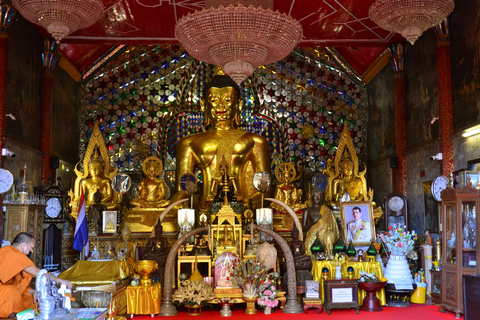 Chiang Mai: 4-uur Doi Suthep, Wat Umong en Wat Phalat Tour