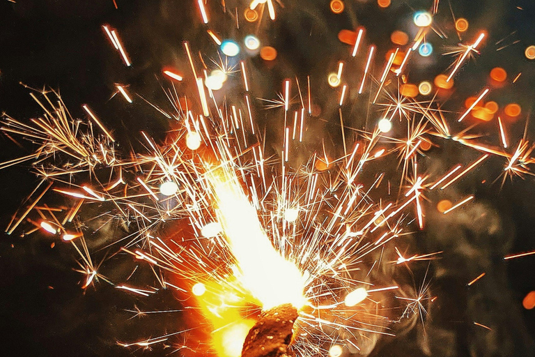 Tigers, Taj & Lights: A 3-Day Ranthambore & Agra Diwali Tour All-Inclusive tour