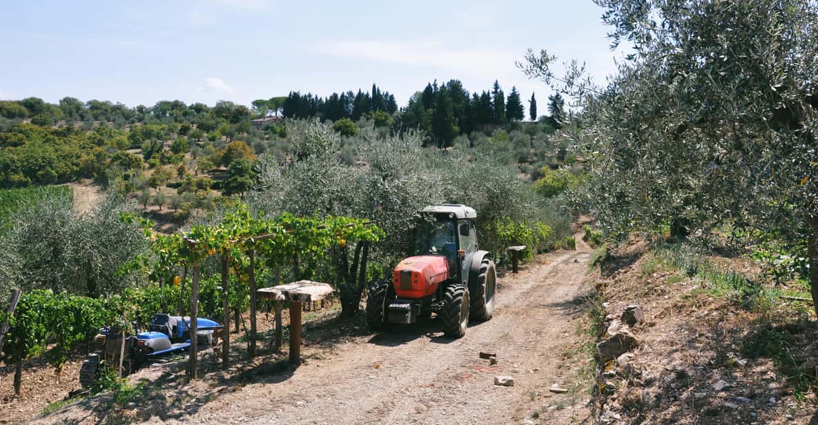 Afbeelding 10 van Chianti: biologische tuin en wijnproeverij