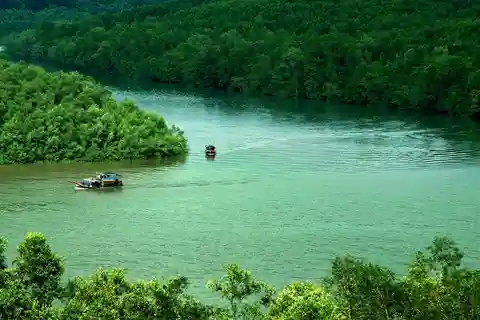 Ciudad de Ho Chi Minh: Excursión ecológica - Bosque de manglares de Can Gio