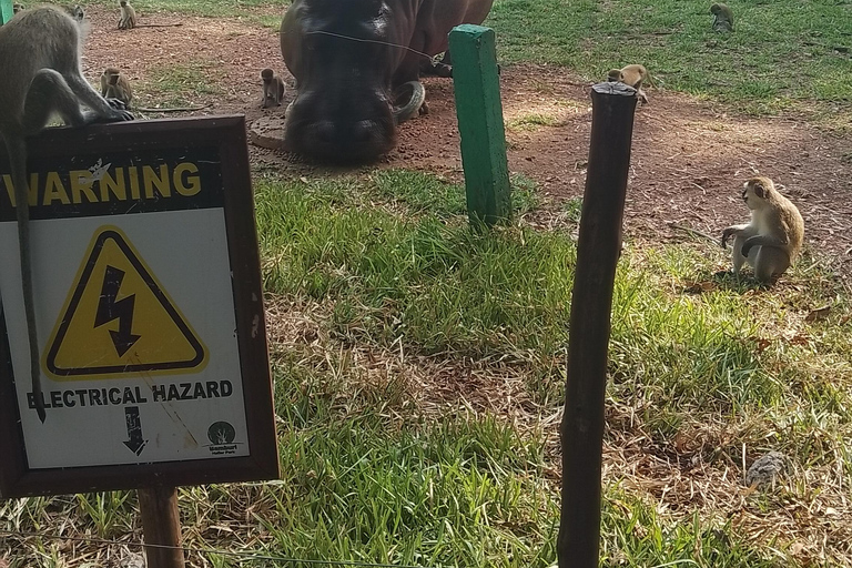 Mombasa: Private City Tour with street food and Haller Park