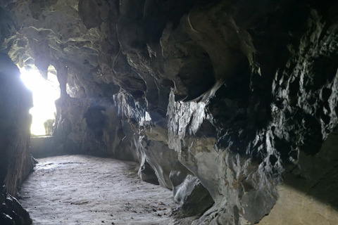 Half day Hiking Cat Ba National Park With guide