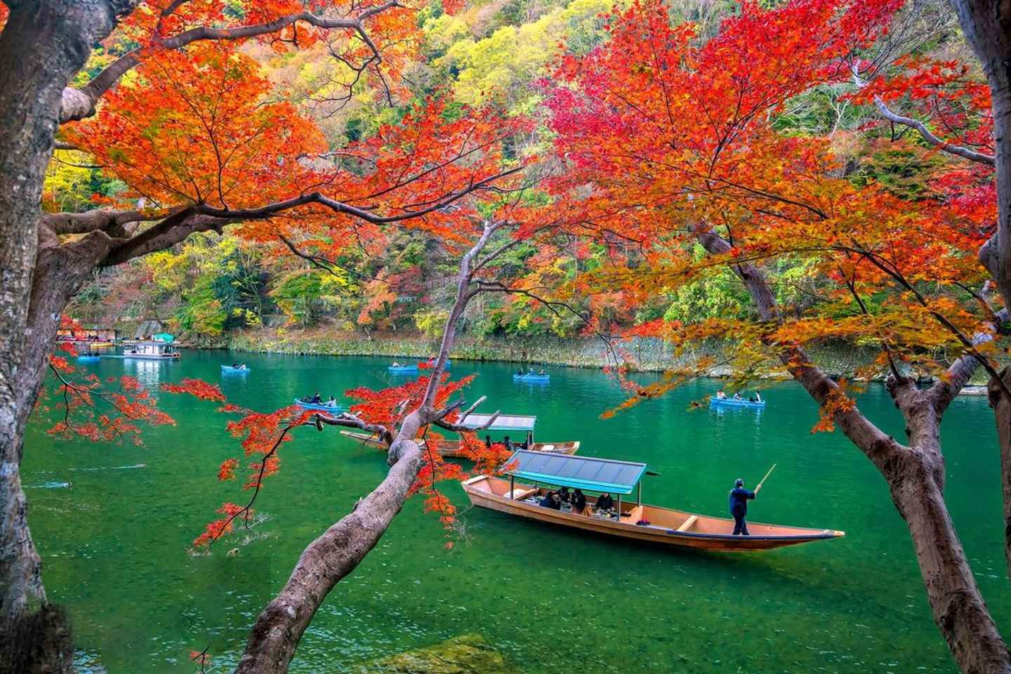 From Osaka: Day Tour to Nara and Kyoto - Depart From Kyoto