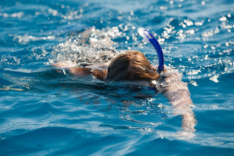 Hurghada: Excursión en barco a la Casa de los Delfines con snorkel