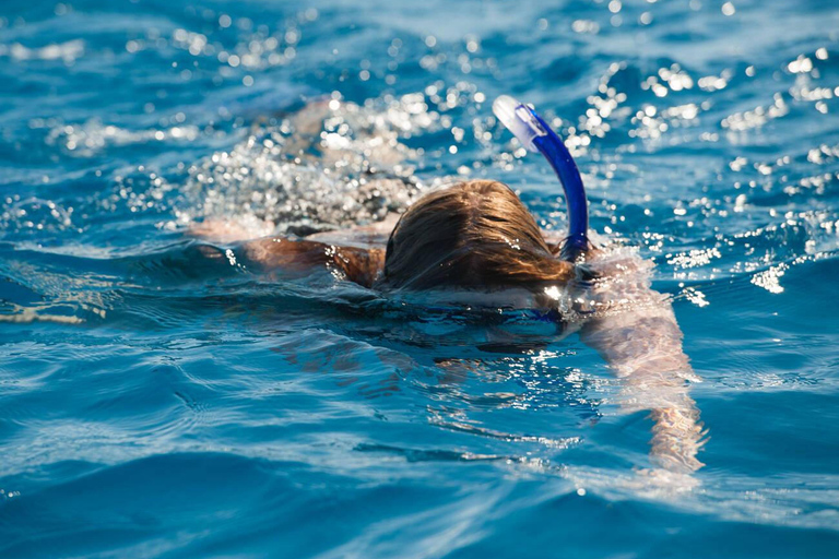 Hurghada: Excursión en barco a la Casa de los Delfines con snorkel