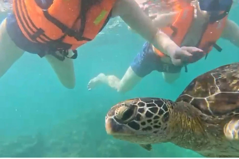 Mirissa: Guided Snorkeling Tour with GoPro Photos & Videos