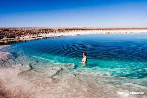 San Pedro Atacama : Lagunes de Baltinache et visite en bus magique