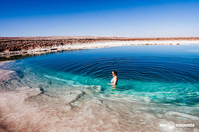 San Pedro Atacama: Lagoas Baltinache e excursão de ônibus mágico