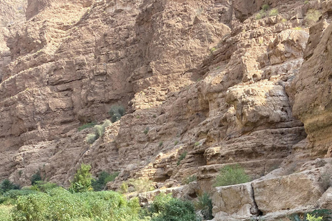 Mascate: tour de día completo por Wadi Shab con servicio de recogida del hotel