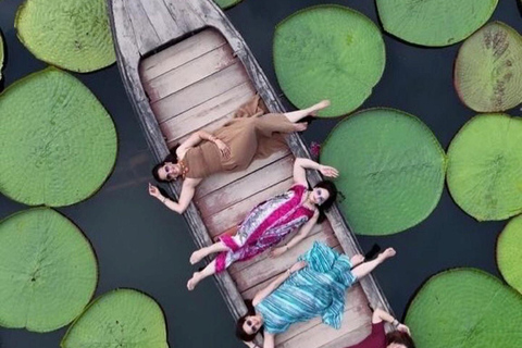 Phuket: Giant Water Lily Pond Options Drone Video+Old Town Lily Pond Group Combo Photo+Drone Video+Old Town+Khao Rang