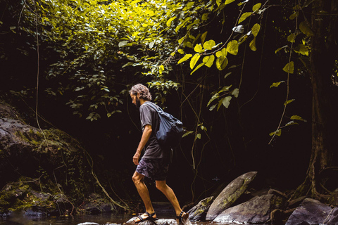 Khao Sok: Privat dagsvandring, djungelmiddag och nattsafari